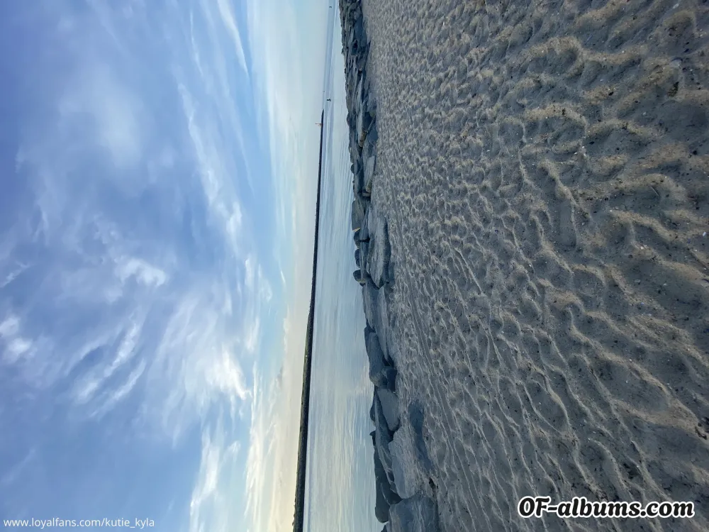 Image #2 of kittykat_0