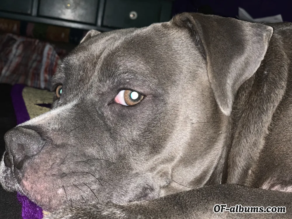 Image #2 of kristina15