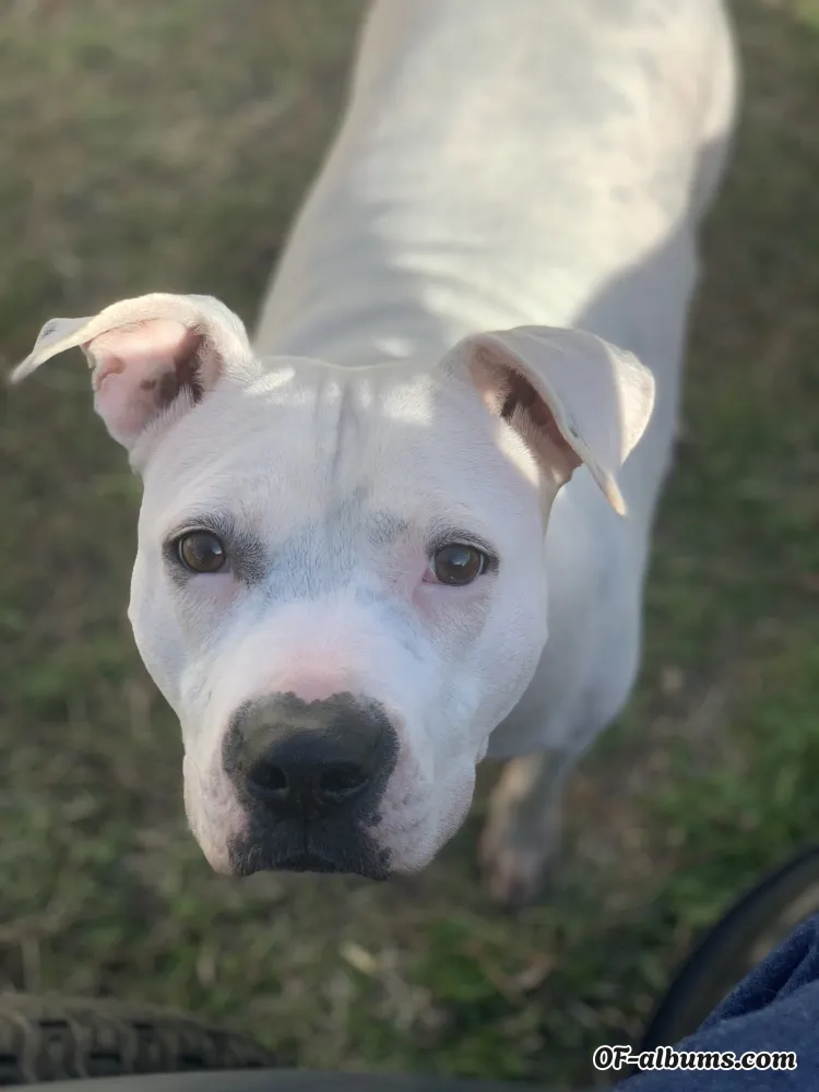 Image #1 of kristina15