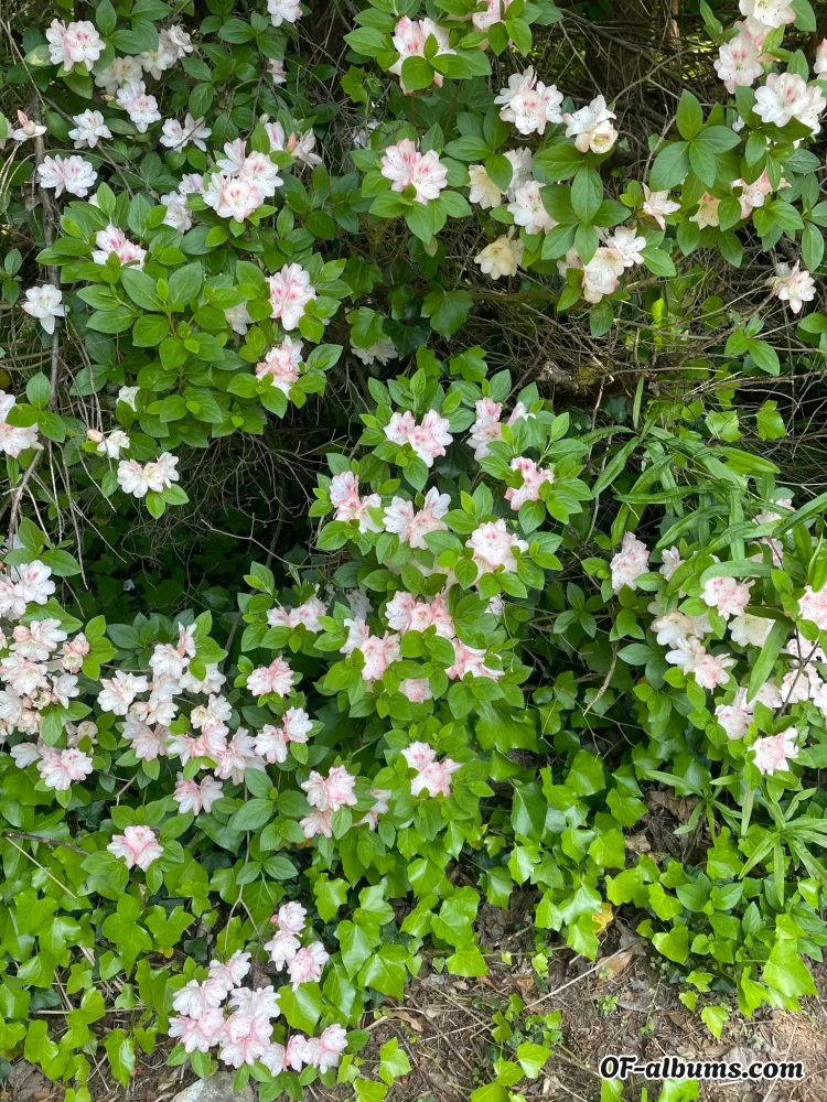 Image #2 of kristinam