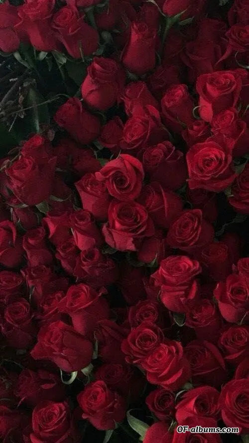 Image #2 of lamonjavoladora