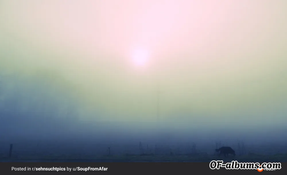 Image #2 of latinasdoitbetter