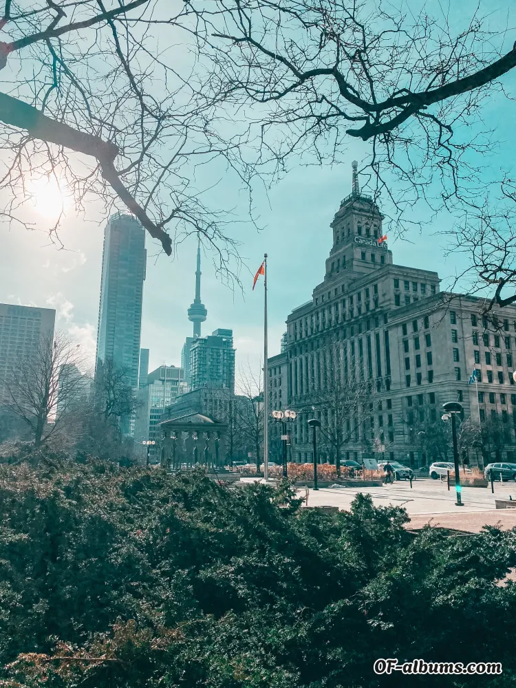 Image #2 of latinocanadian