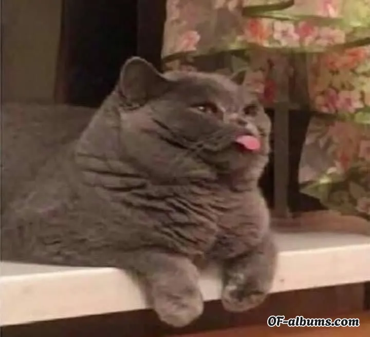 Image #2 of lattesweets