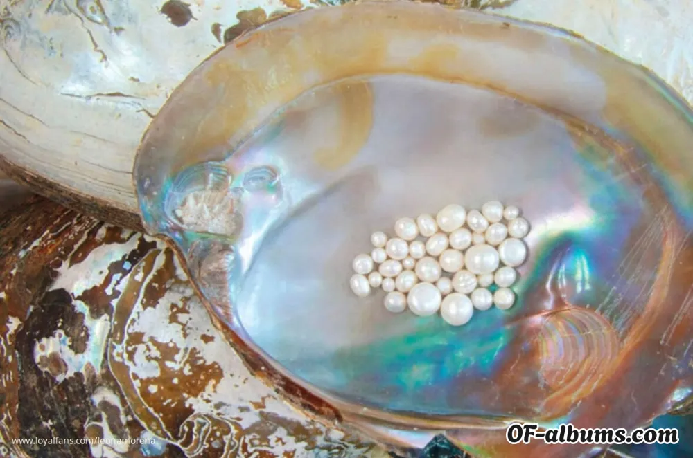 Image #5 of leonamorena