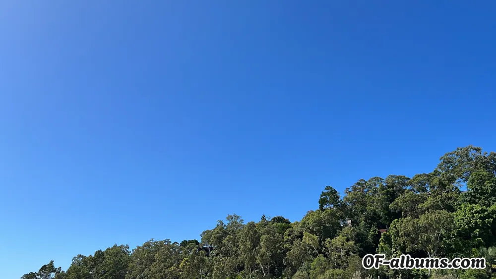 Image #2 of lifeofalexisjames