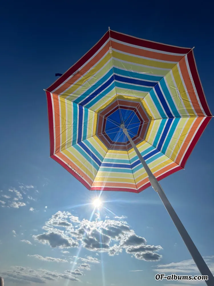 Image #2 of lilythecat