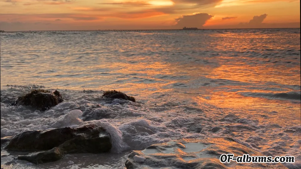 Image #2 of limitless.explorer