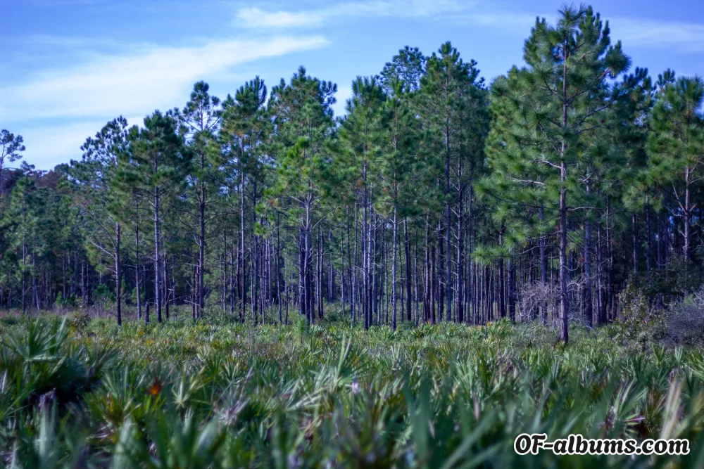 Image #2 of littleredheadbeauty