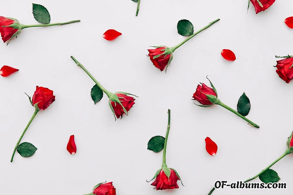 Image #2 of lovelxst