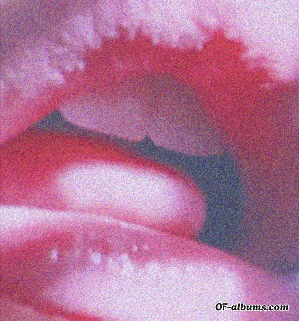 Image #4 of lunarhiccups