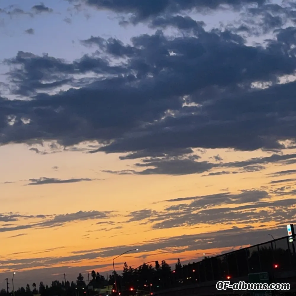 Image #2 of lyzax420