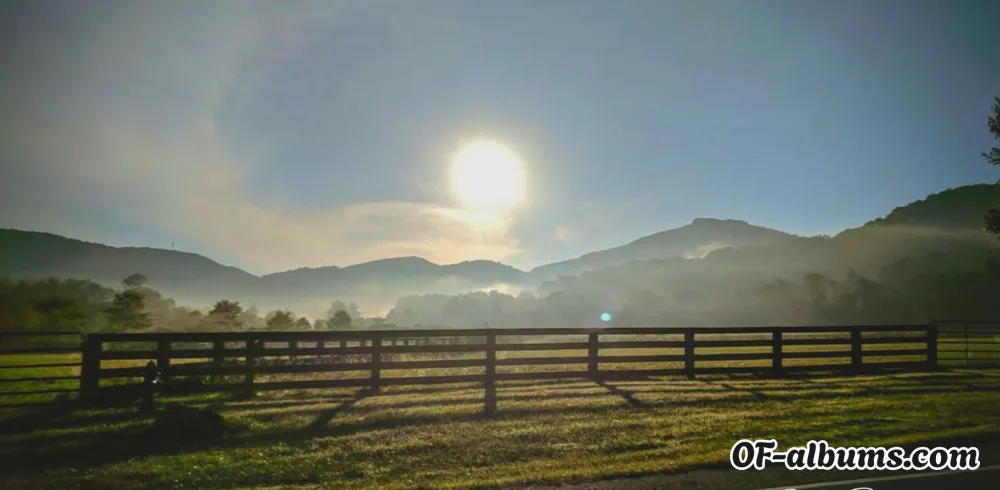 Image #2 of m.305.beauty