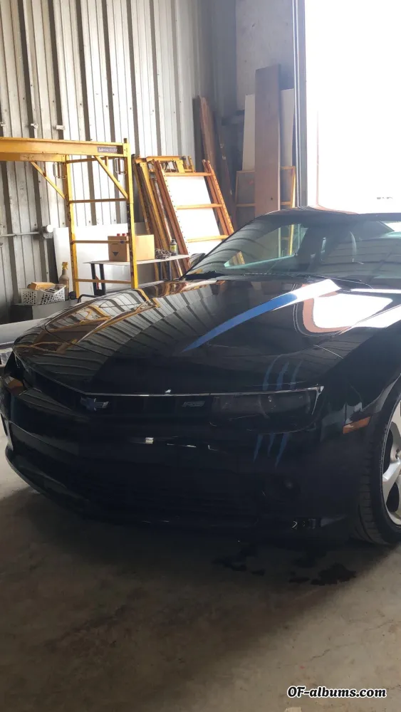 Image #2 of maddieluv21