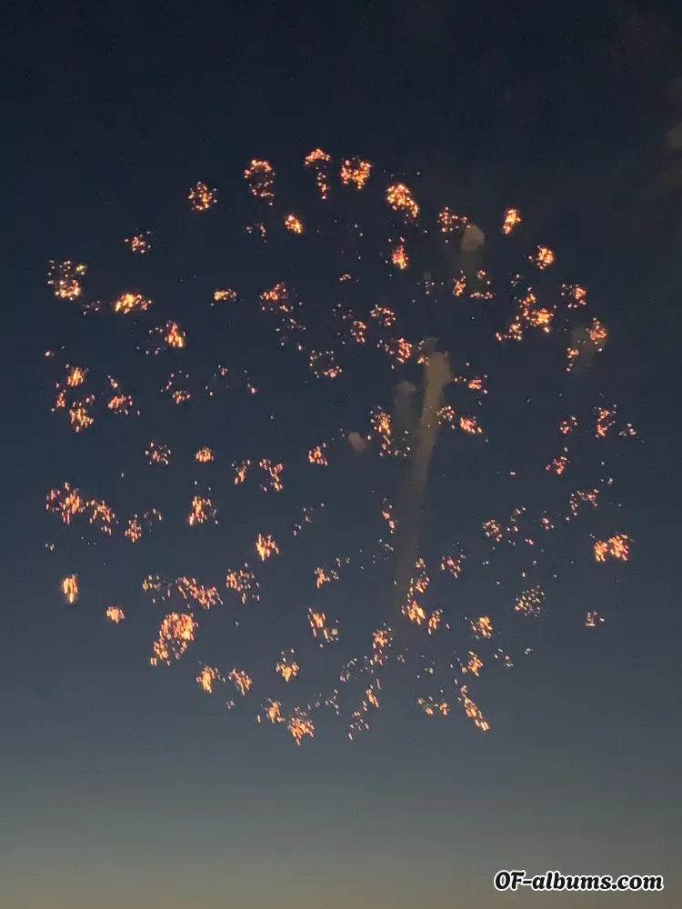 Image #2 of maeflower2022