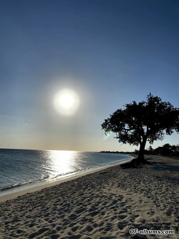 Image #2 of magiclilly