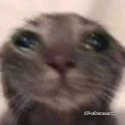 Image #1 of manutwink