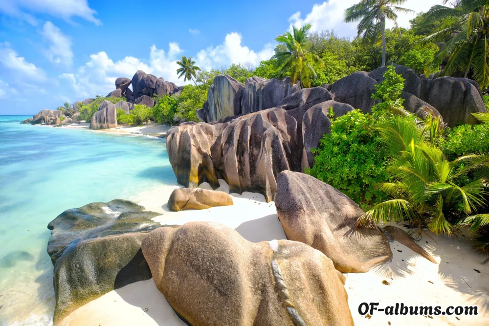 Image #2 of marinerice