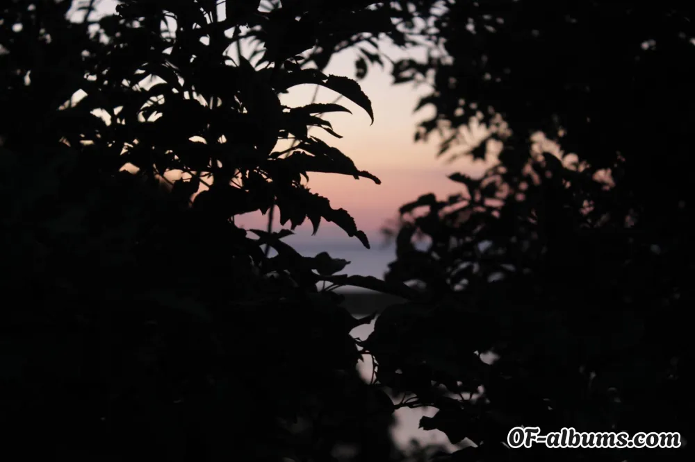 Image #2 of marleyquinnn