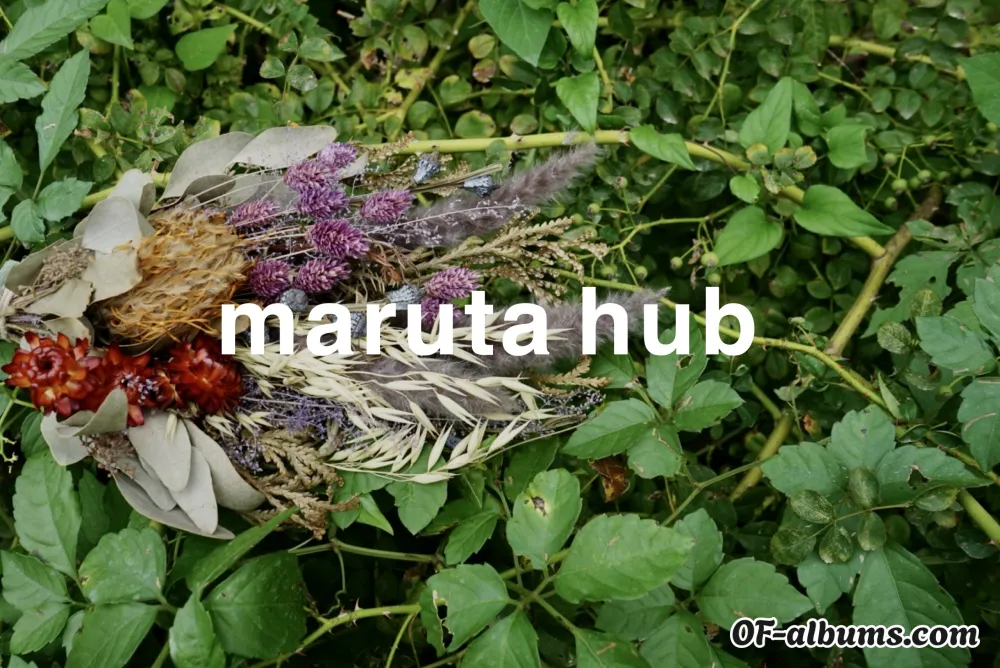 Image #2 of marutahub