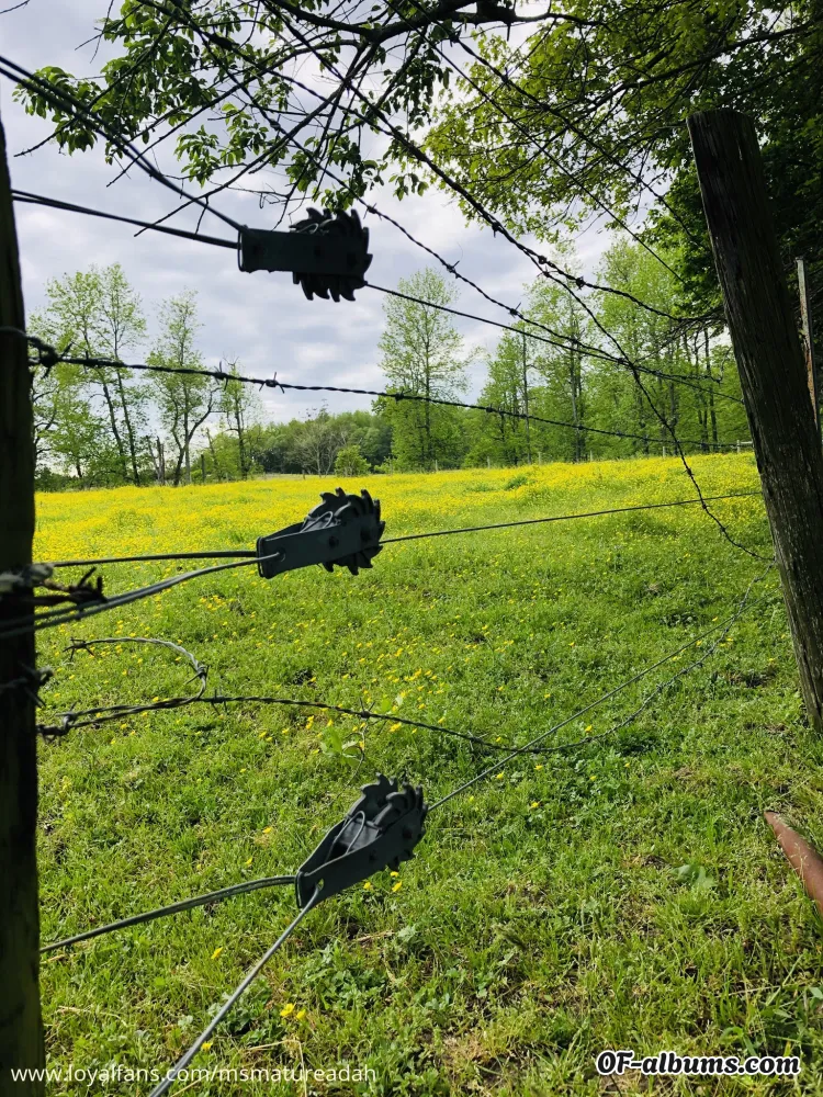 Image #2 of maturemsadah