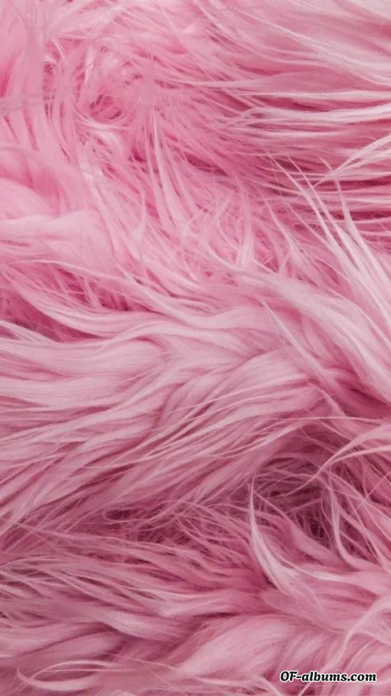 Image #2 of maxineworld