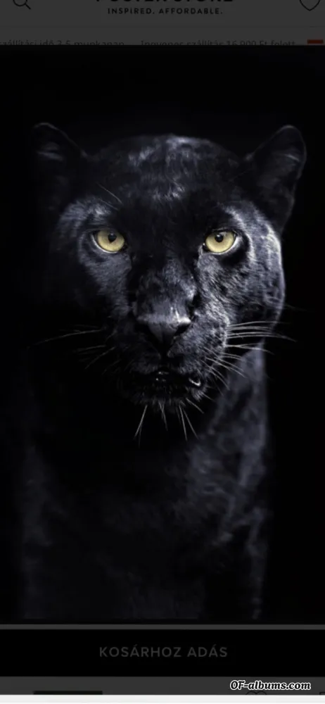 Image #2 of melibeby