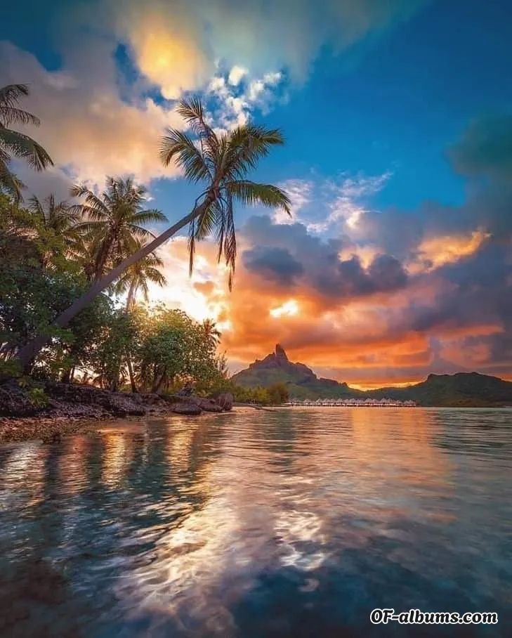 Image #2 of mermaid81