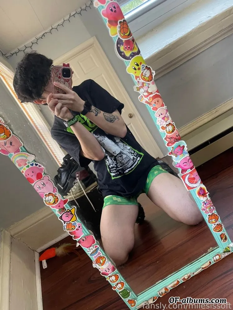 Image #1 of milesissoft