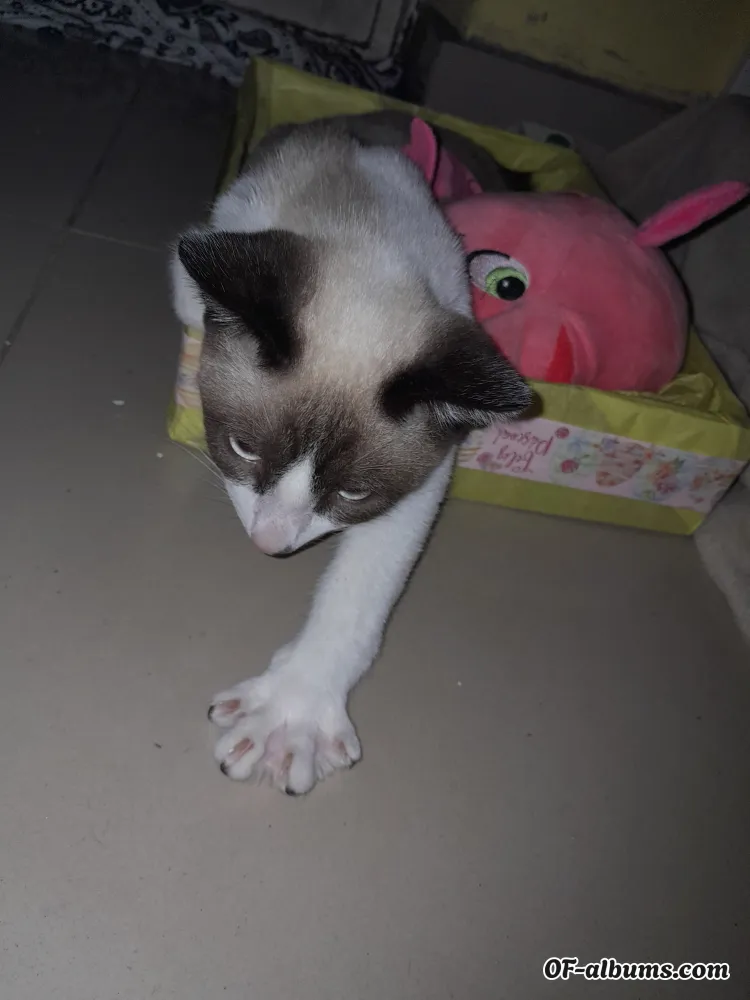 Image #2 of mimi0101