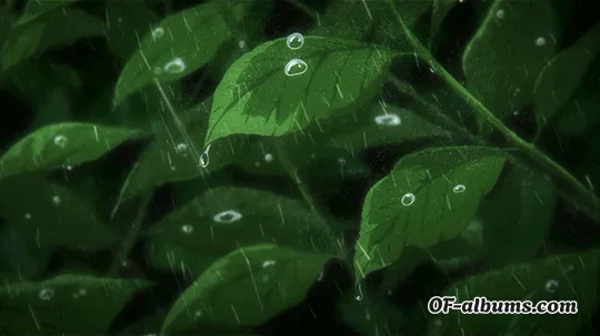 Image #2 of mintyleaves32