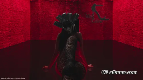 Image #4 of misscelinee