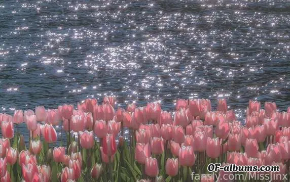 Image #2 of missjinx