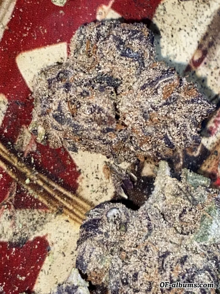 Image #2 of misspressureee