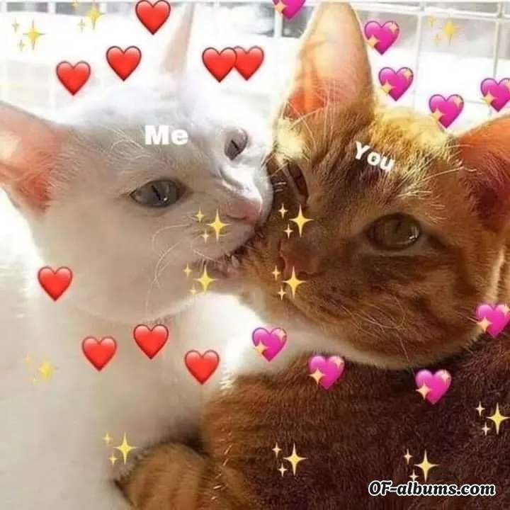 Image #2 of moonlightxbun