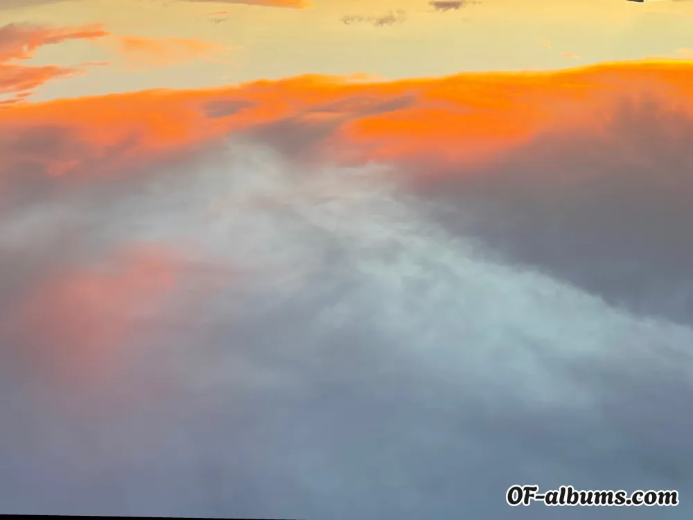 Image #3 of mrpnectar