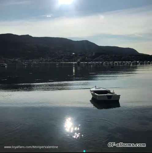 Image #5 of msvipervalentine