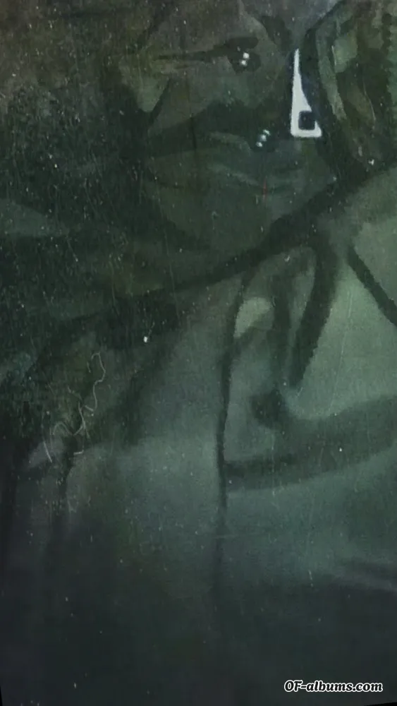 Image #4 of mustangwild