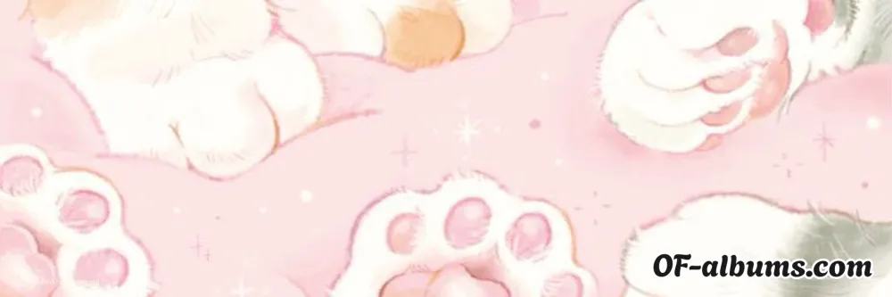 Image #2 of myplgrnd