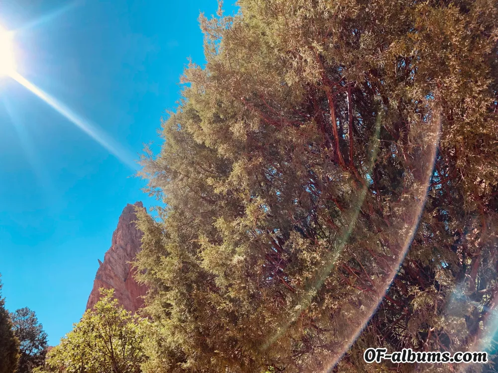 Image #2 of mystery1998texas