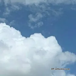 Image #1 of mytitsmyass