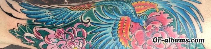 Image #2 of nabecart