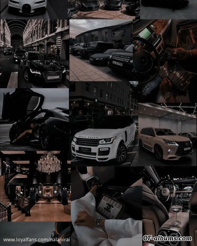 Image #2 of nalanirai