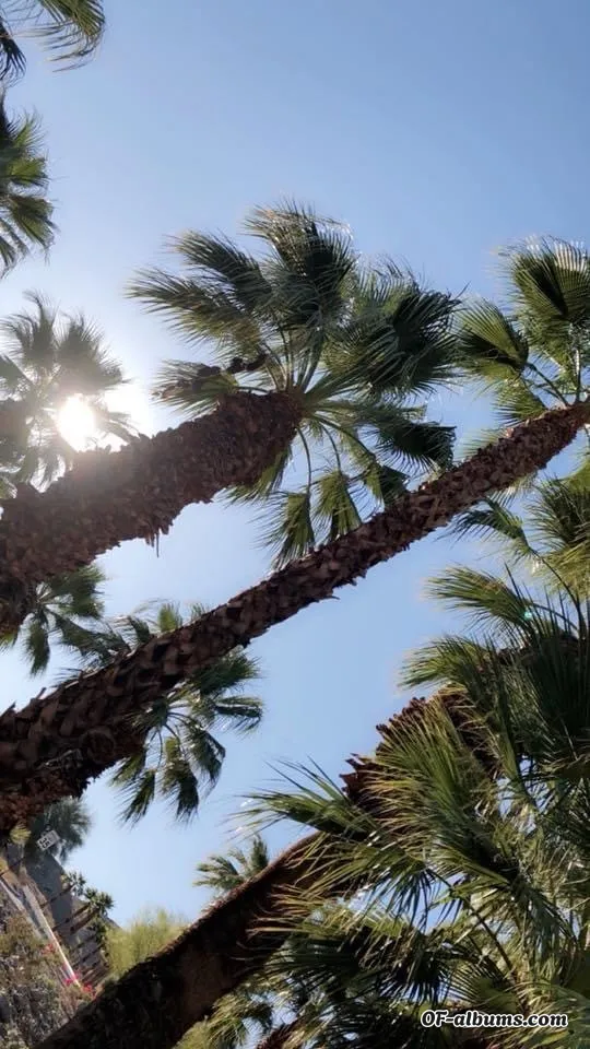 Image #2 of nanimoneybaby