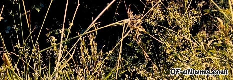 Image #2 of naughtygardengirl