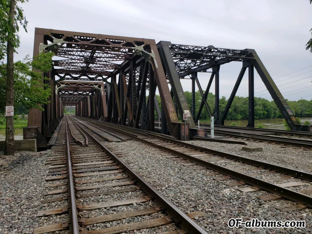 Image #2 of night8t8