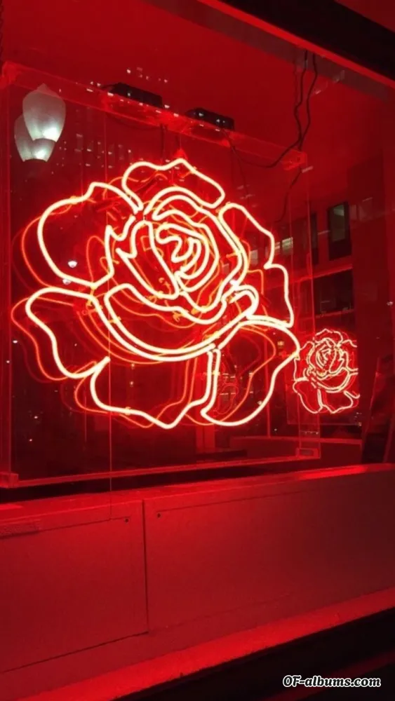 Image #2 of nikki-xx