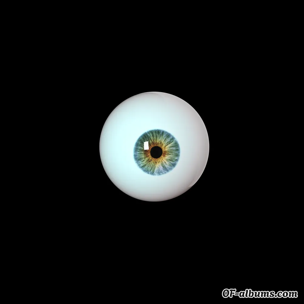 Image #1 of nimbus9000