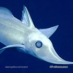 Image #1 of notmakingstuff123124141646