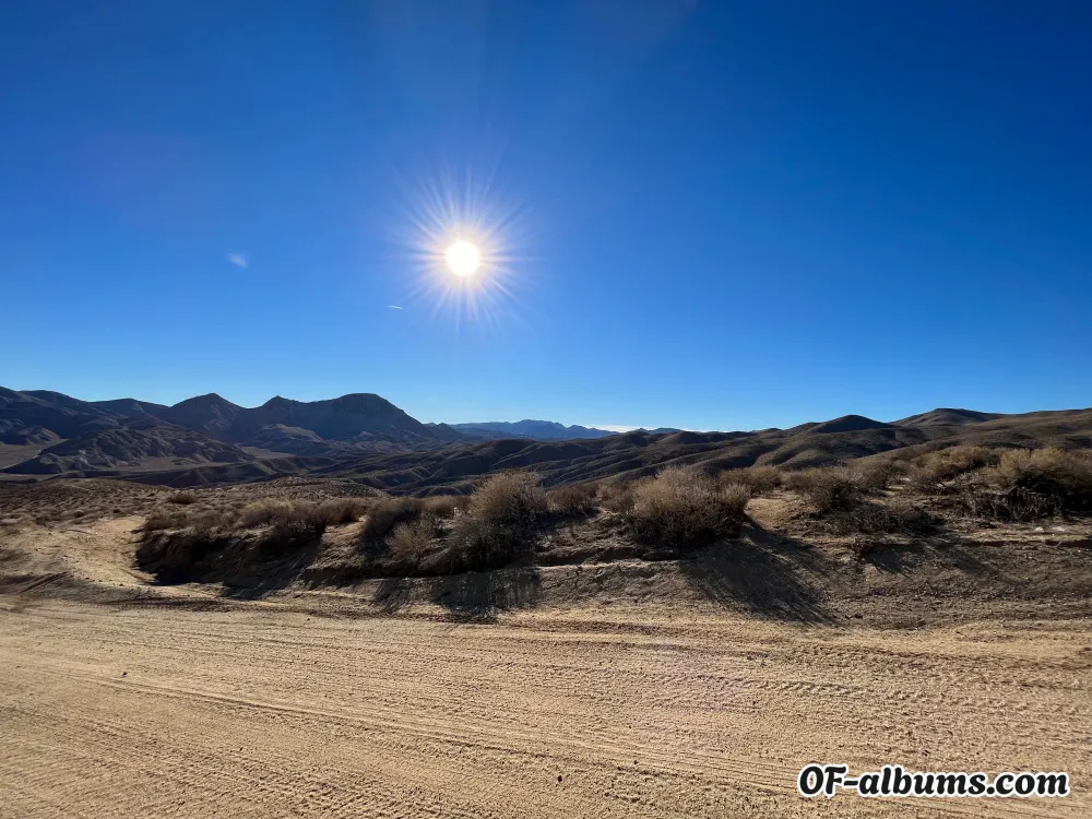 Image #2 of obeyaylyn